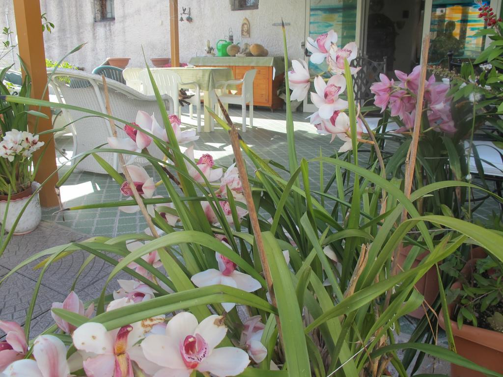 Forio di Ischia Aparthotel Villa Marinu מראה חיצוני תמונה