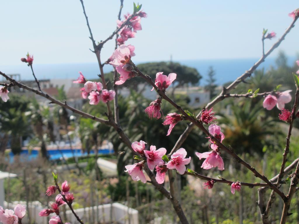 Forio di Ischia Aparthotel Villa Marinu מראה חיצוני תמונה