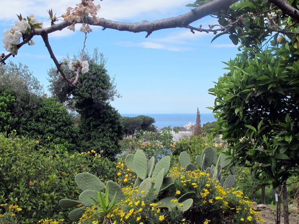 Forio di Ischia Aparthotel Villa Marinu מראה חיצוני תמונה